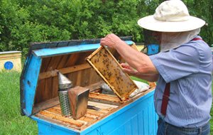 Περισσότεροι από 60 μελισσοκόμοι καταρτίστηκαν στην Π.Ε. Πιερίας