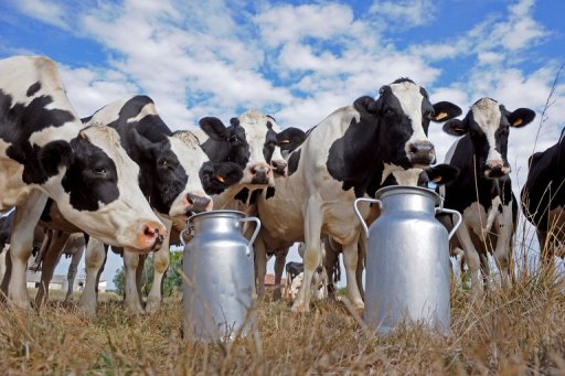 Κατανομή ποσοστώσεων αγελαδινού γάλακτος