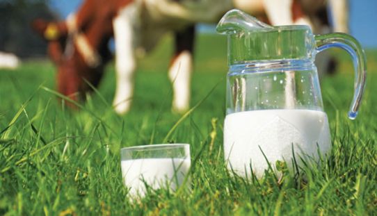 Τι ορίζει ο κοινοτικός κανονισμός για παραδόσεις στο γάλα
