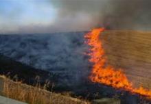Πρόληψη και αντιμετώπιση πυρκαγιών σε δασικές και αγροτικές εκτάσεις